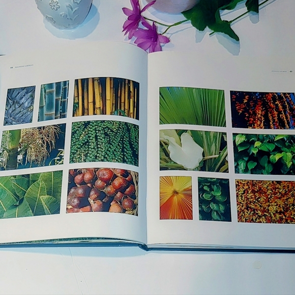 ✨Large Coffee Table Book: Balinese Gardens - Picture 5 of 8